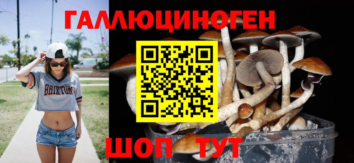 магазин  наркотиков  Псилоцибиновые грибы Psilocybine cubensis  Вход с VPN  Семёнов 